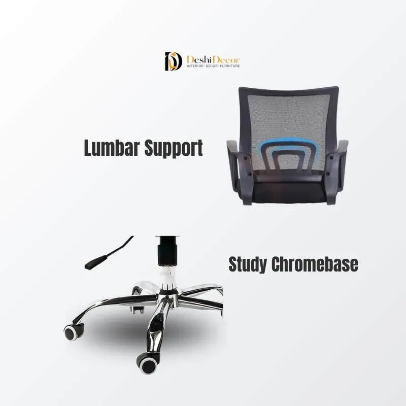 Mesh Executive Chair with SS Base (lumbar support and chromebase)